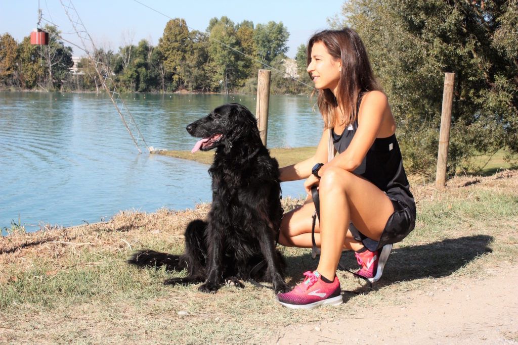 Bob Martin Dog Run: la corsa a 6 zampe